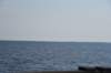 dsc_9105_fs_small.jpg