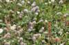 dsc_9176_fs_small.jpg