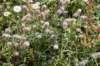dsc_9177_fs_small.jpg