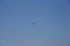 dsc_9181_fs_small.jpg