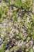 dsc_9186_fs_small.jpg