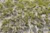 dsc_9187_fs_small.jpg