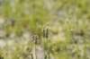 dsc_9189_fs_small.jpg