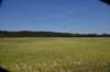 dsc_9200_fs_small.jpg
