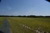 dsc_9204_fs_small.jpg