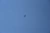 dsc_9207_fs_small.jpg