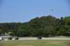 dsc_9216_fs_small.jpg