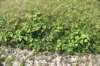 dsc_9251_fs_small.jpg