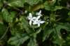dsc_9252_fs_small.jpg