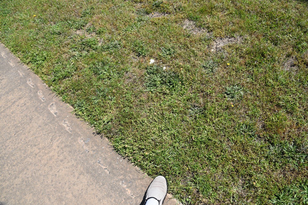 dsc_9253_fs.jpg