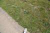dsc_9253_fs_small.jpg