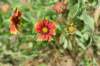 dsc_9287_fs_small.jpg
