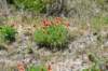 dsc_9288_fs_small.jpg