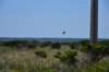 dsc_9289_fs_small.jpg