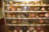 dsc_9321_fs_small.jpg