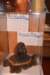 dsc_9337_fs_small.jpg