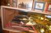 dsc_9342_fs_small.jpg