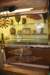 dsc_9343_fs_small.jpg