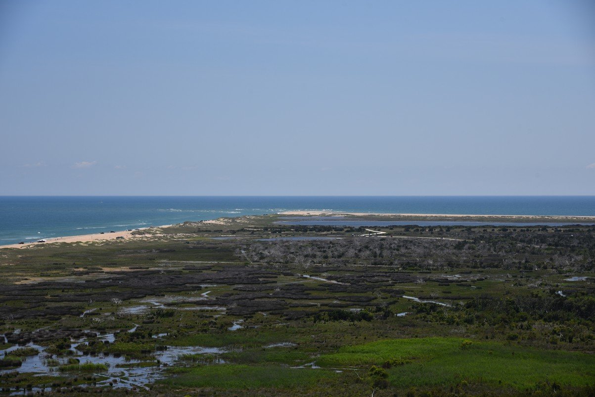 dsc_9398_fs.jpg