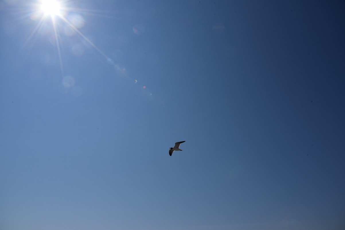 dsc_9415_fs.jpg