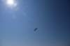 dsc_9415_fs_small.jpg
