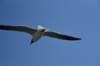 dsc_9418_fs_small.jpg