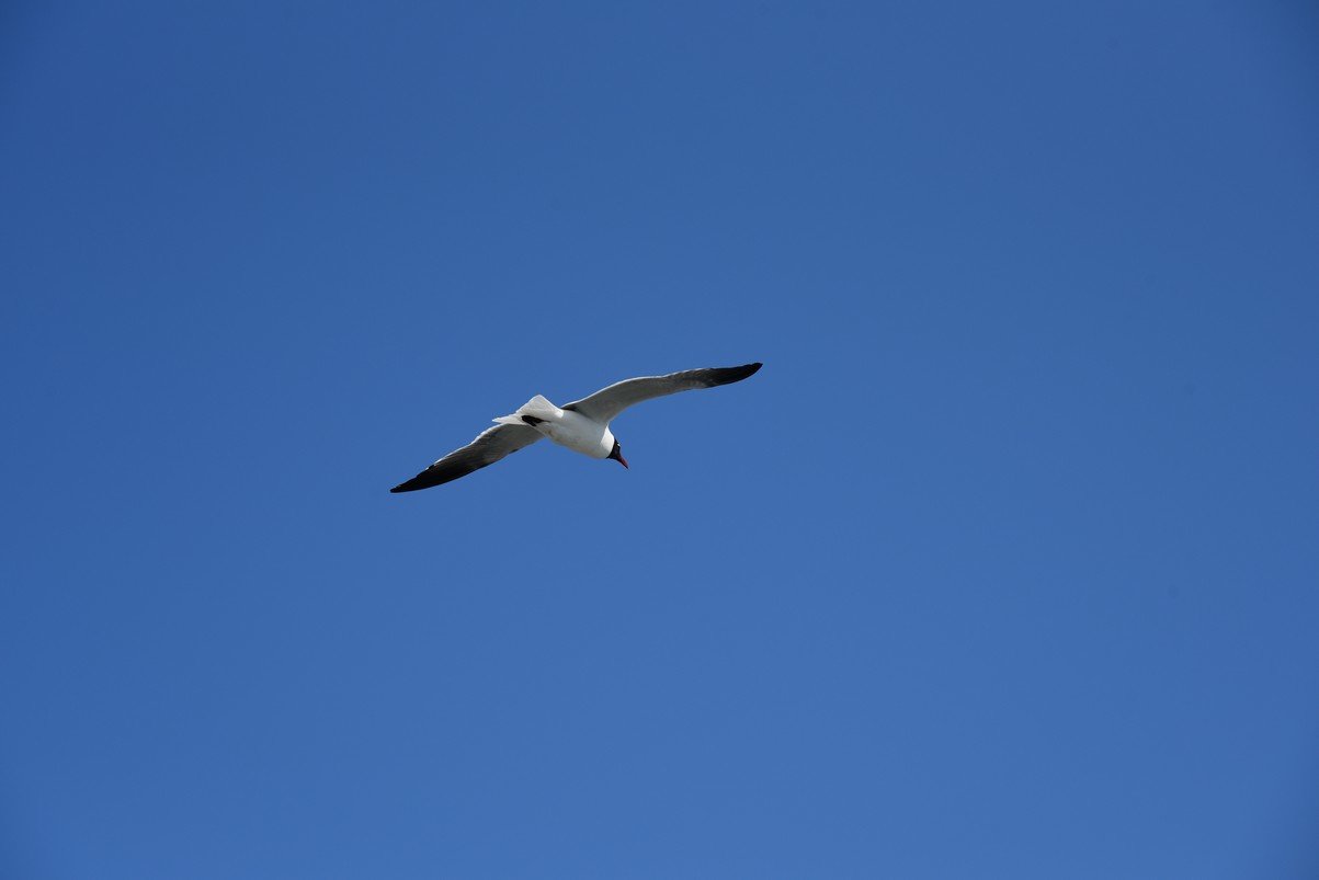 dsc_9419_fs.jpg