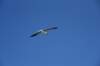 dsc_9419_fs_small.jpg