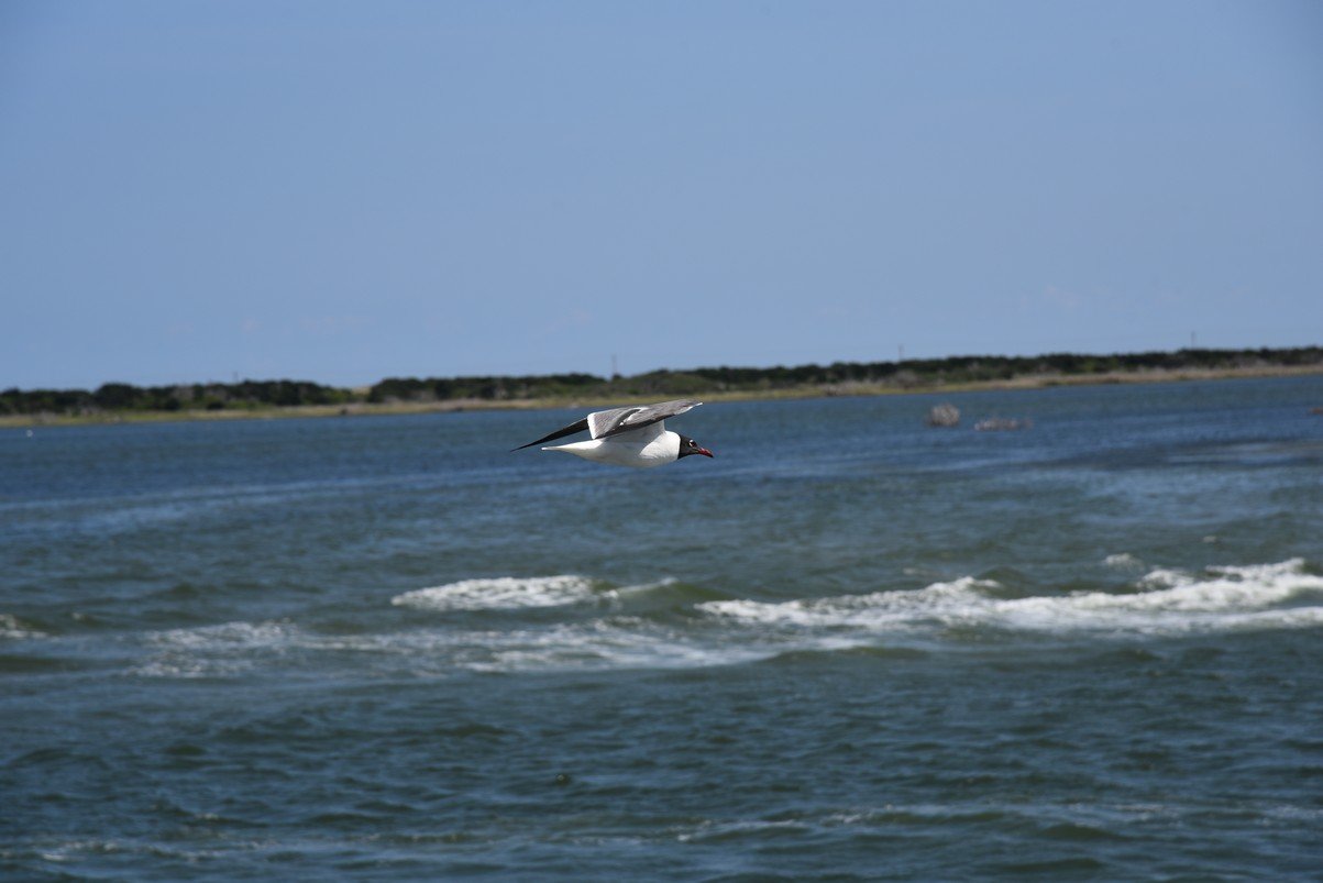 dsc_9421_fs.jpg