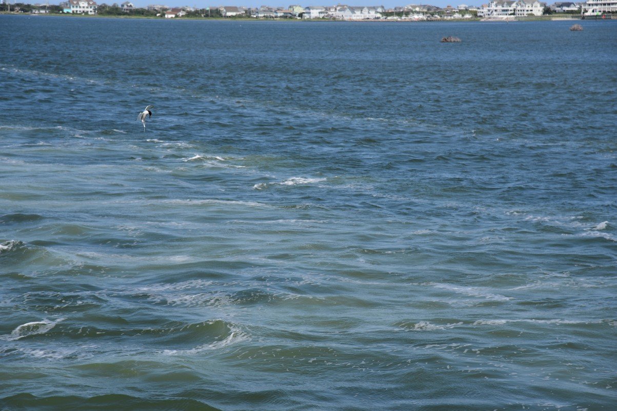 dsc_9422_fs.jpg