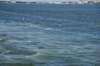 dsc_9422_fs_small.jpg