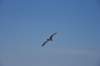 dsc_9425_fs_small.jpg