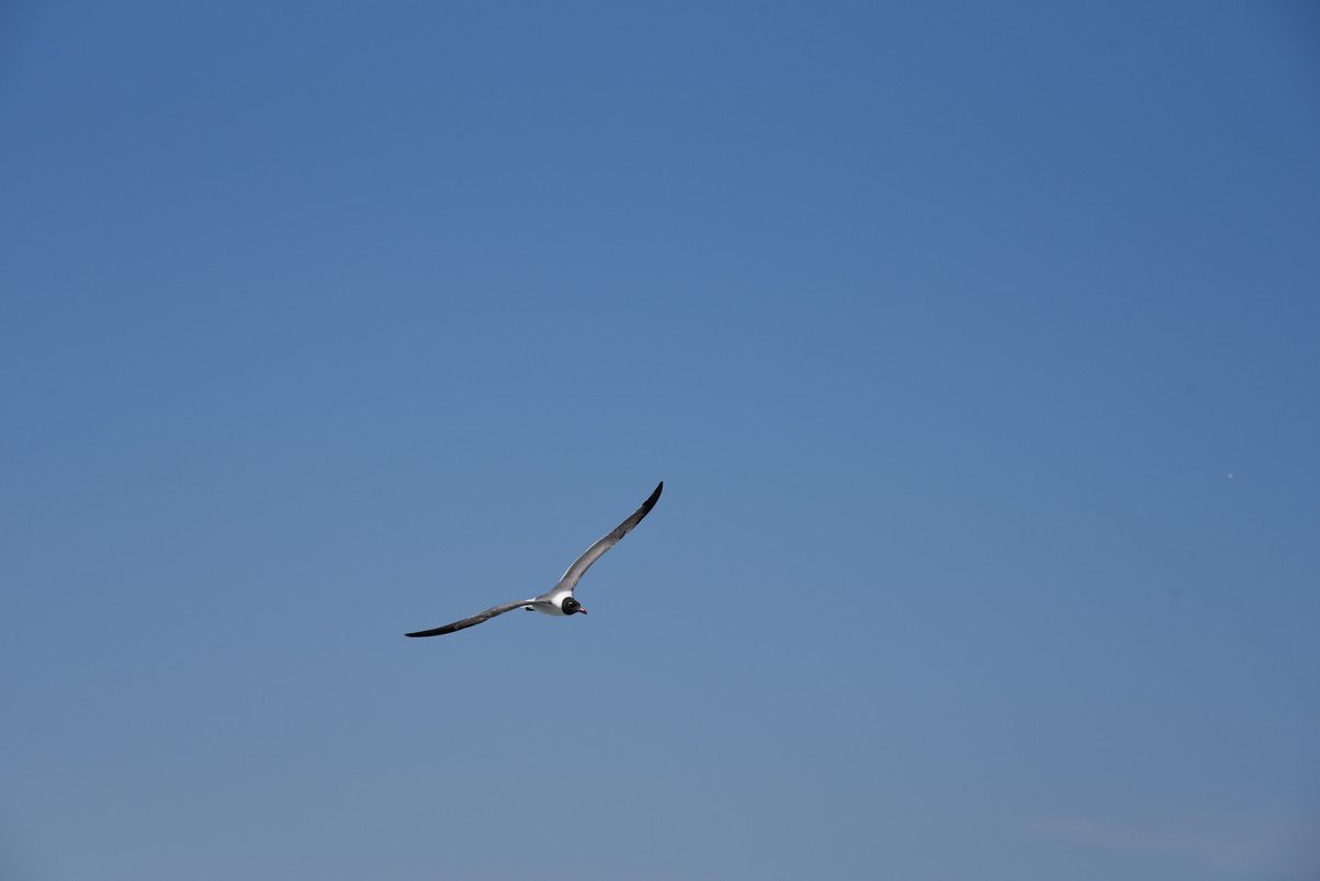dsc_9426_fs.jpg