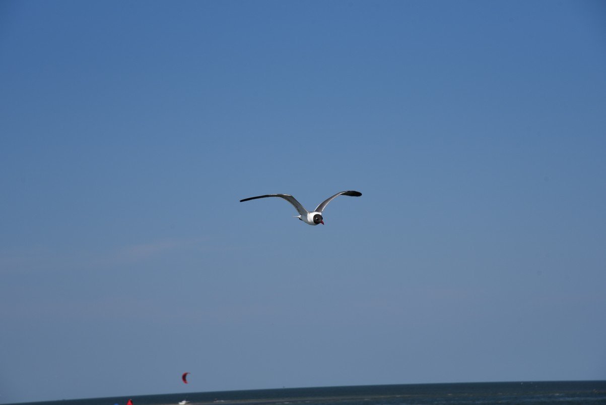 dsc_9427_fs.jpg
