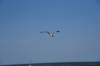 dsc_9427_fs_small.jpg