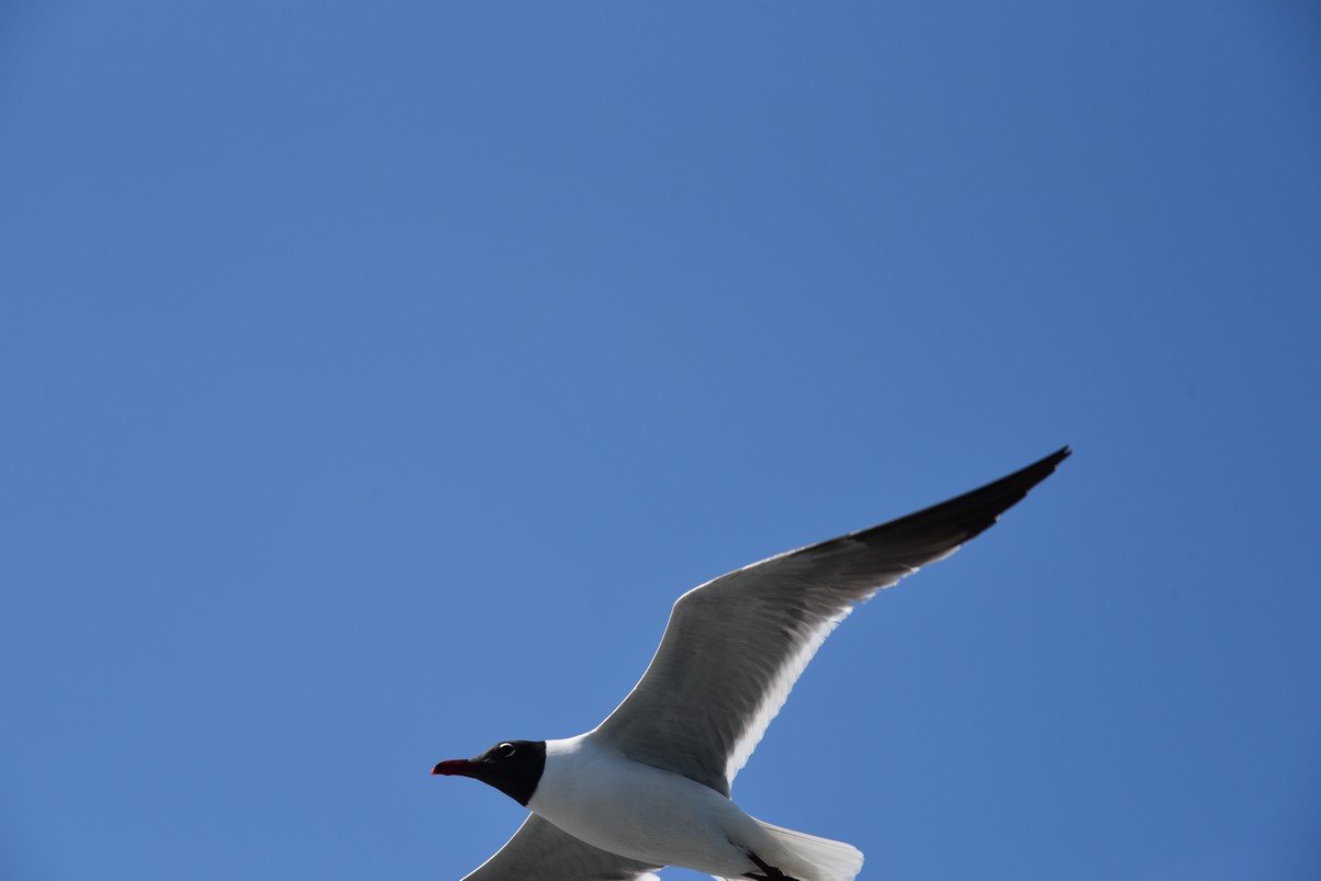 dsc_9429_fs.jpg
