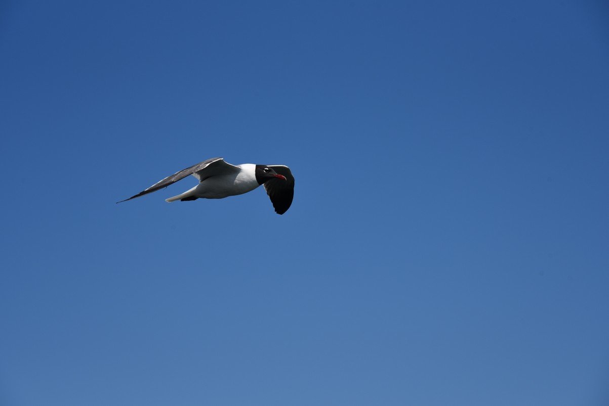 dsc_9432_fs.jpg