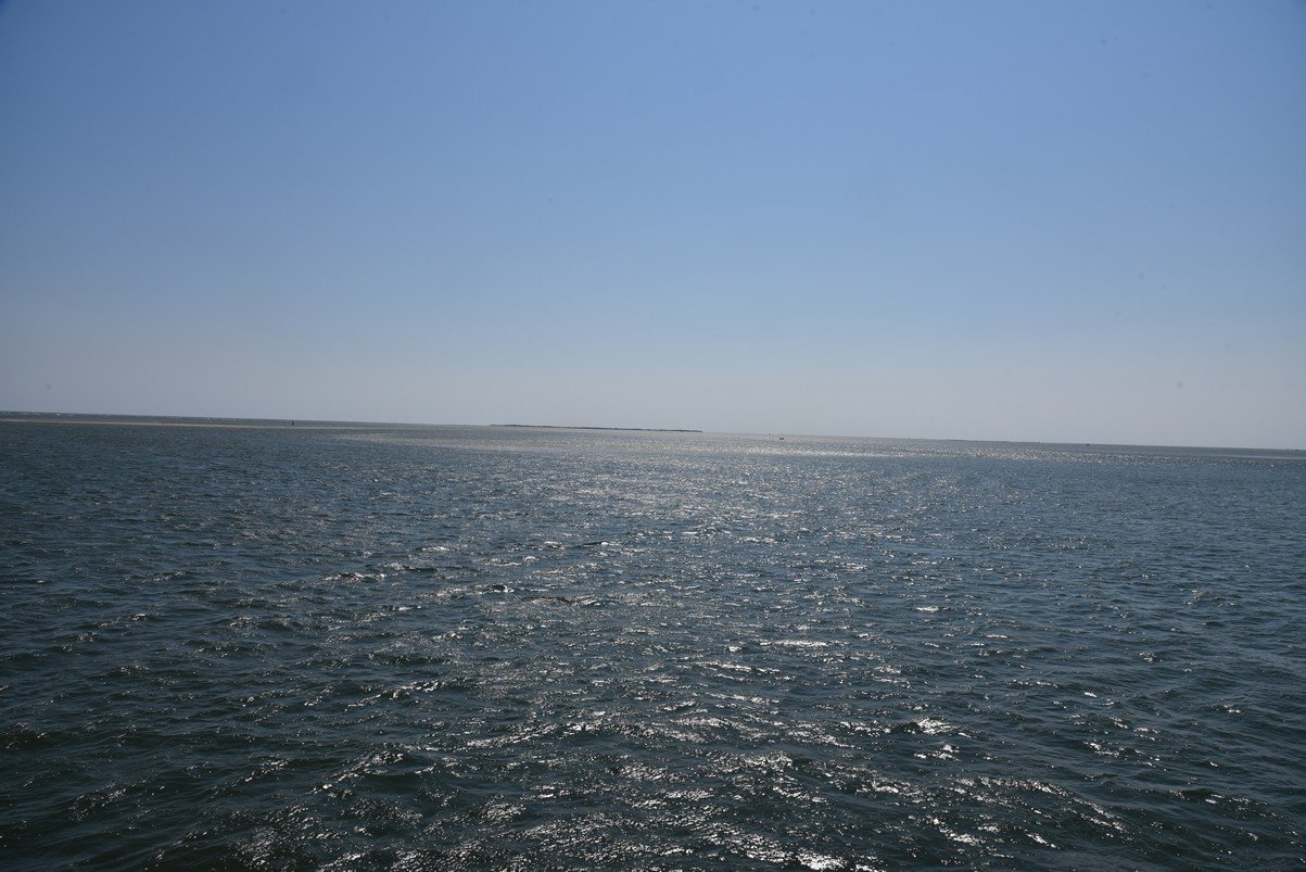 dsc_9439_fs.jpg