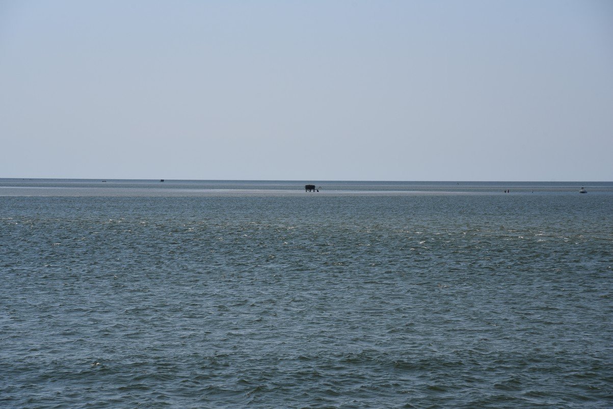 dsc_9443_fs.jpg