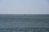 dsc_9443_fs_small.jpg