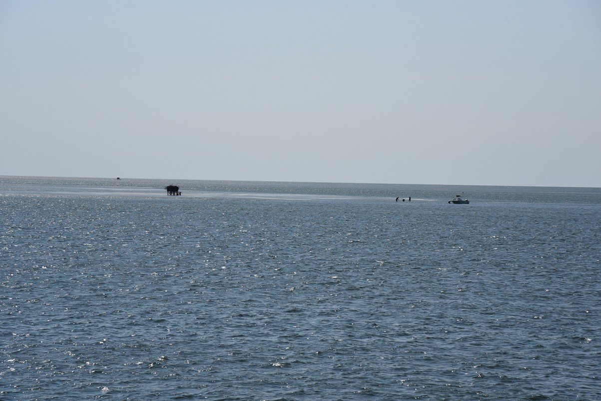 dsc_9444_fs.jpg