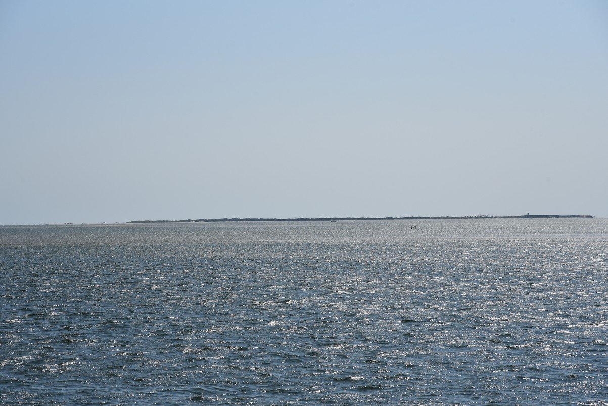 dsc_9446_fs.jpg