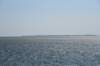 dsc_9446_fs_small.jpg