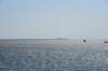 dsc_9447_fs_small.jpg