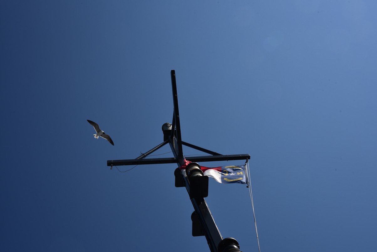 dsc_9448_fs.jpg