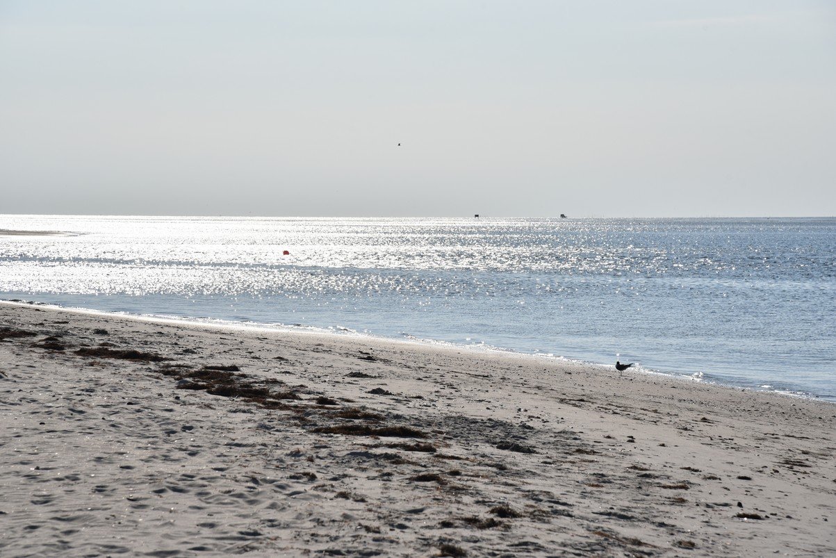 dsc_9455_fs.jpg
