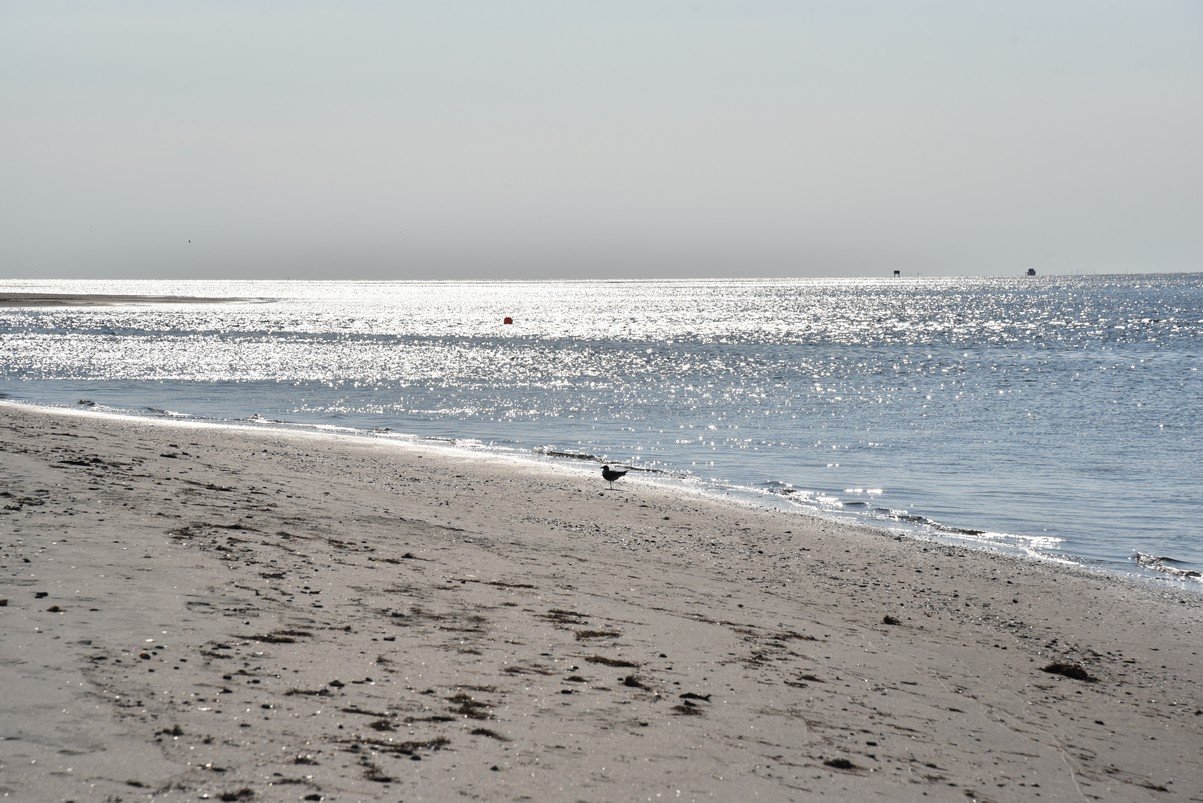 dsc_9456_fs.jpg