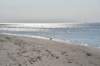 dsc_9456_fs_small.jpg