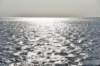 dsc_9466_fs_small.jpg
