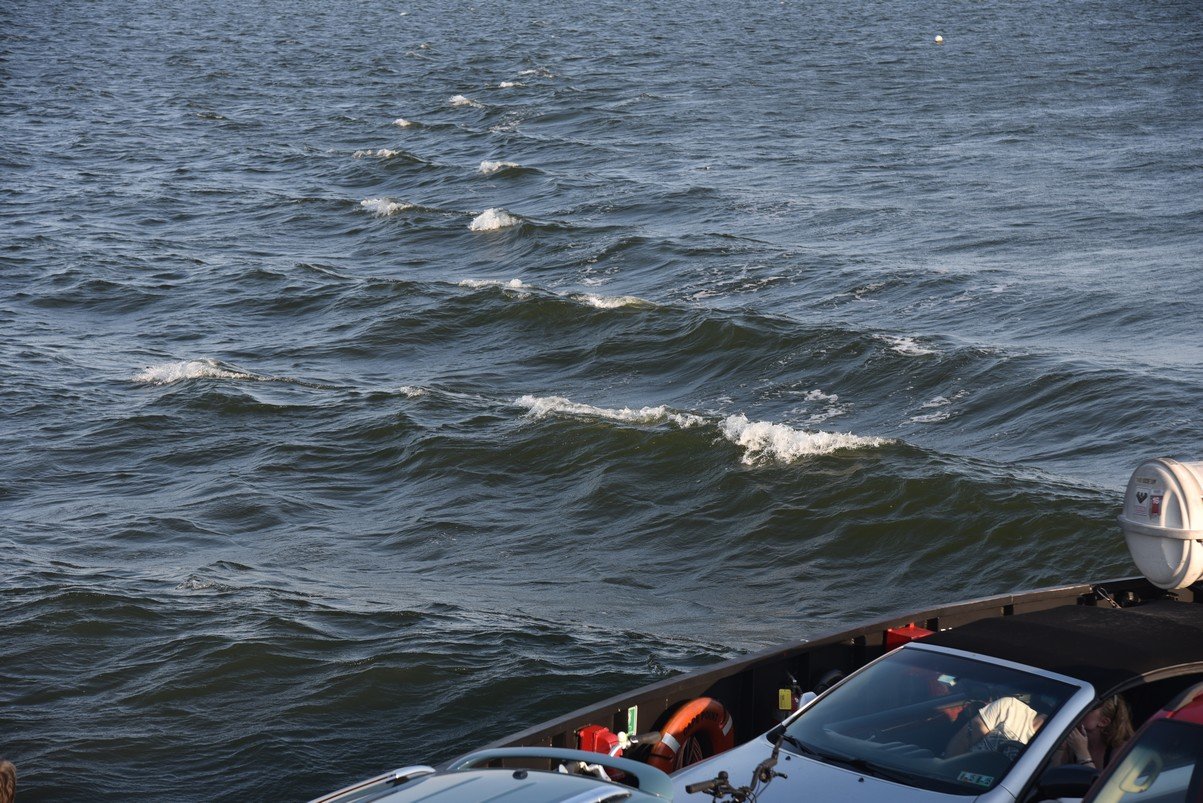 dsc_9467_fs.jpg